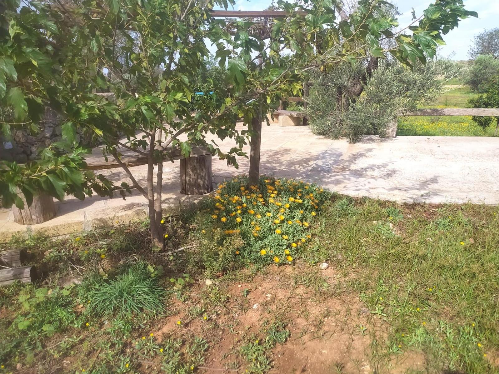 Hostal Trullo Contrada Stracca Alliste Exterior foto